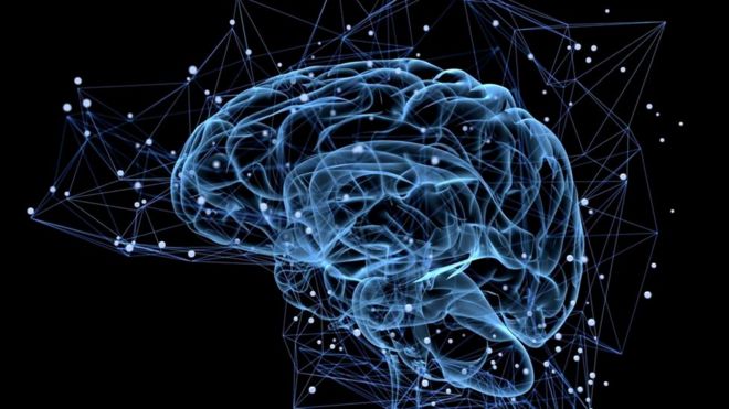 10 զարմանալի փաստեր մեր ուղեղի աշխատանքի մասին