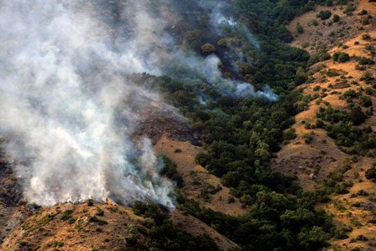 «Խոսրովի անտառ»-ում շուրջ 200 հա գիհի ծառատեսակներ են այրվել. hայտնի է վնասի նախնական չափը