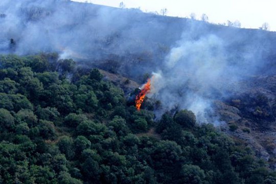 Վայոց ձորում բռնկված հրդեհի հետևանքով այրվել է 320 հա անտառածածկ տարածք