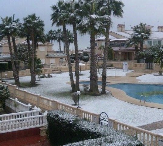 Իսպանական Տոռեվիեխա քաղաքում 103 տարվա մեջ առաջին անգամ ձյուն է տեղացել
