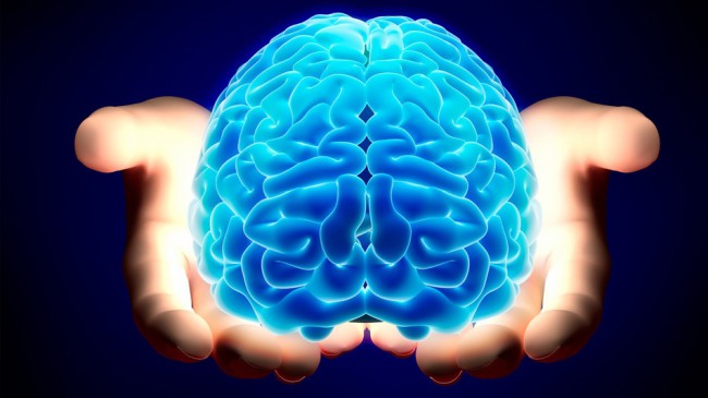 Մարդու ուղեղի մասին ապշեցուցիչ փաստեր, որոնք դուք հաստատ չեք լսել
