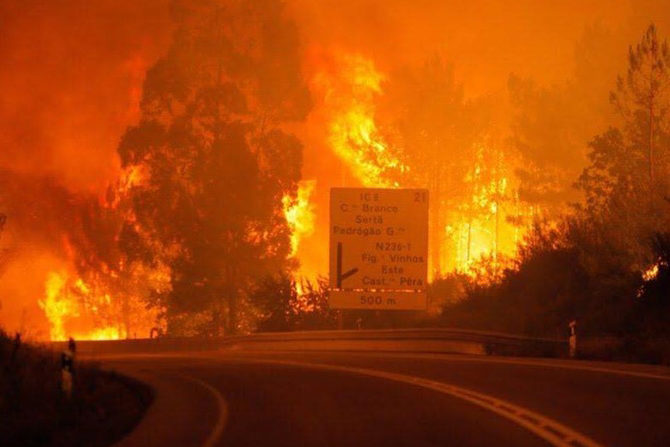 Պորտուգալիայում անտառային հրդեհի հետևանքով մահացածների թիվը հասել է 62-ի 