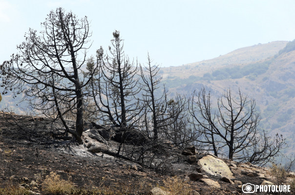 Խոսրովի արգելոցի տարածքում իրականացվել են 149 ծխացող օջախների և 5 ծխացող ծառի մարման աշխատանքներ. ԱԻՆ