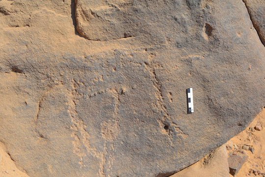Եգիպտոսում հնագետները հայտնաբերել են 6 հազար տարվա ժայռապատկերներ