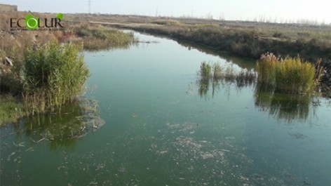 Ատոմակայանը սնուցող Սևջուր գետի ջրի որակը վատթարացել է