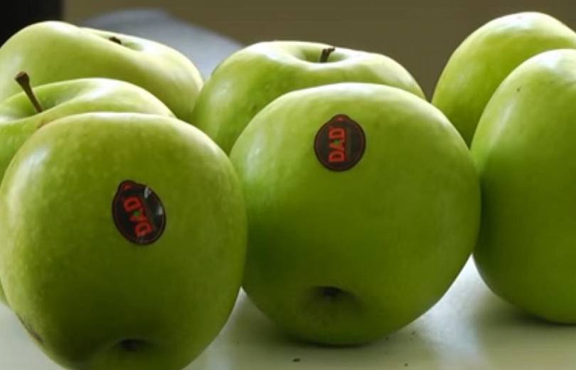 «Ժողովուրդ». Իրականում խնձորները եղել են լեհական, պարզապես պիտակավորվել են Ադրբեջանում. նոր զարգացումներ
