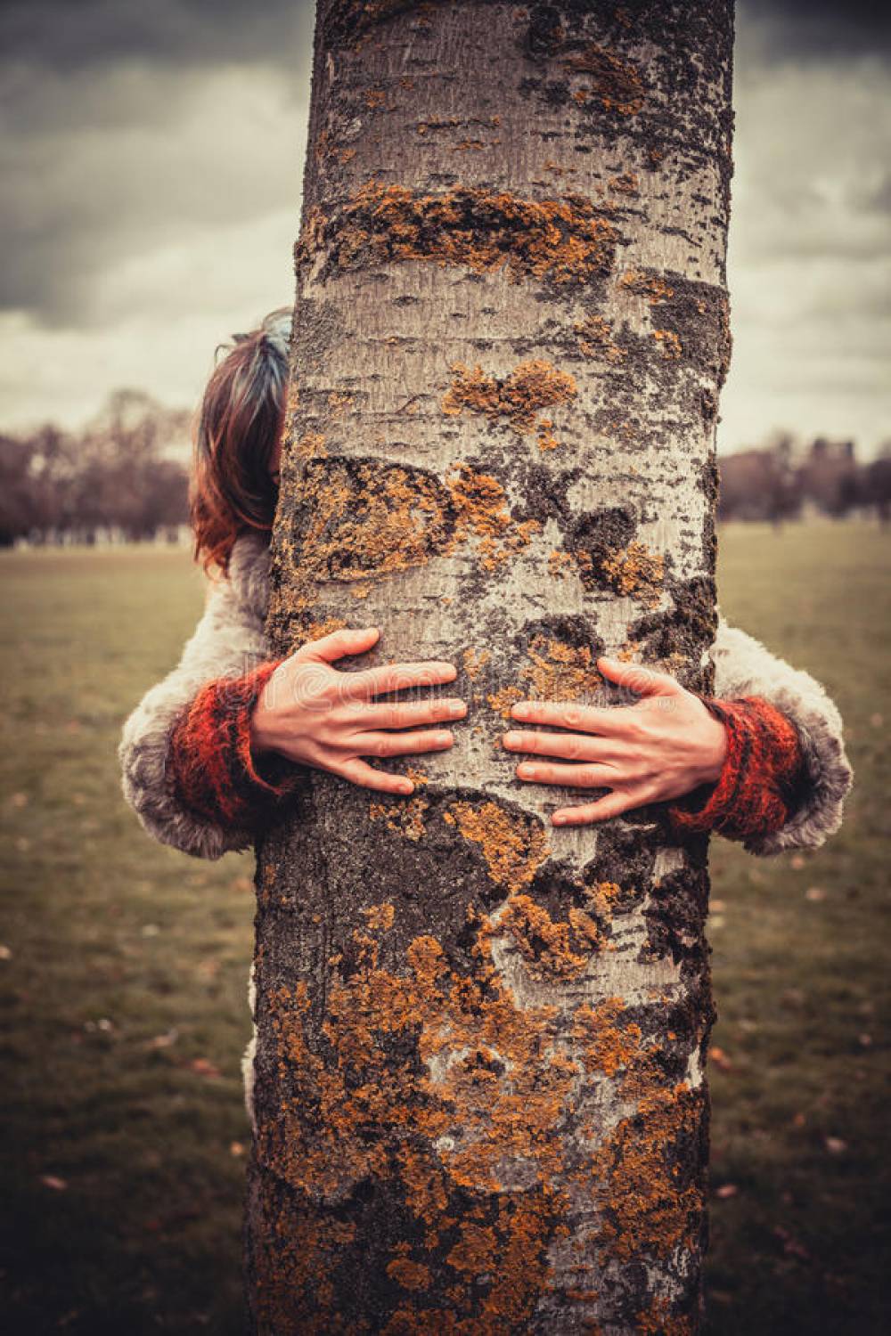 Ինչու են մասնագետները խորհուրդ տալիս հաճախ գրկել ծառերը