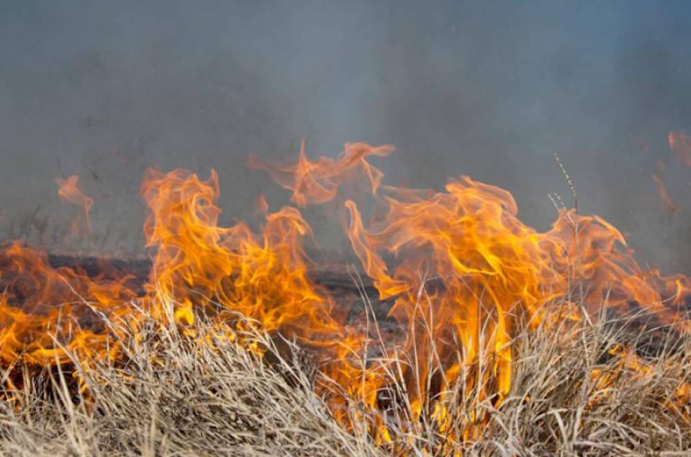 Նժդեհ գյուղի մոտակայքում այրվել է շուրջ 10 հա խոտածածկույթ