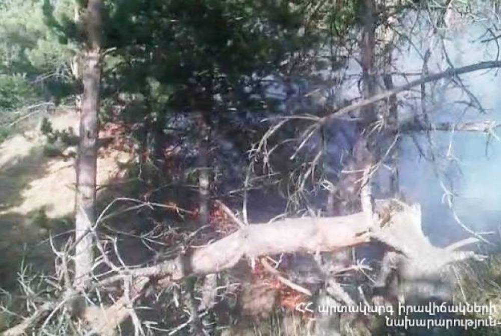 Սարատոկվա գյուղում բռնկված հրդեհը մարվել է. այրվել է 20-30 հա խոտածածկույթ