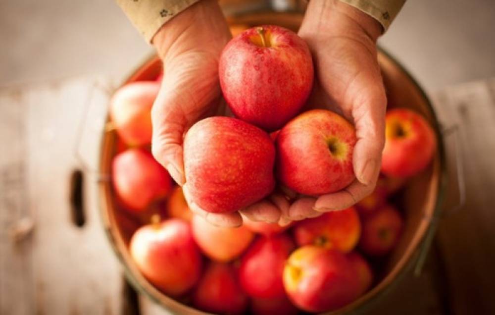 Ինչ կկատարվի օրգանիզմում 2 ամիս շարունակ օրը 1 խնձոր ուտելու դեպքում