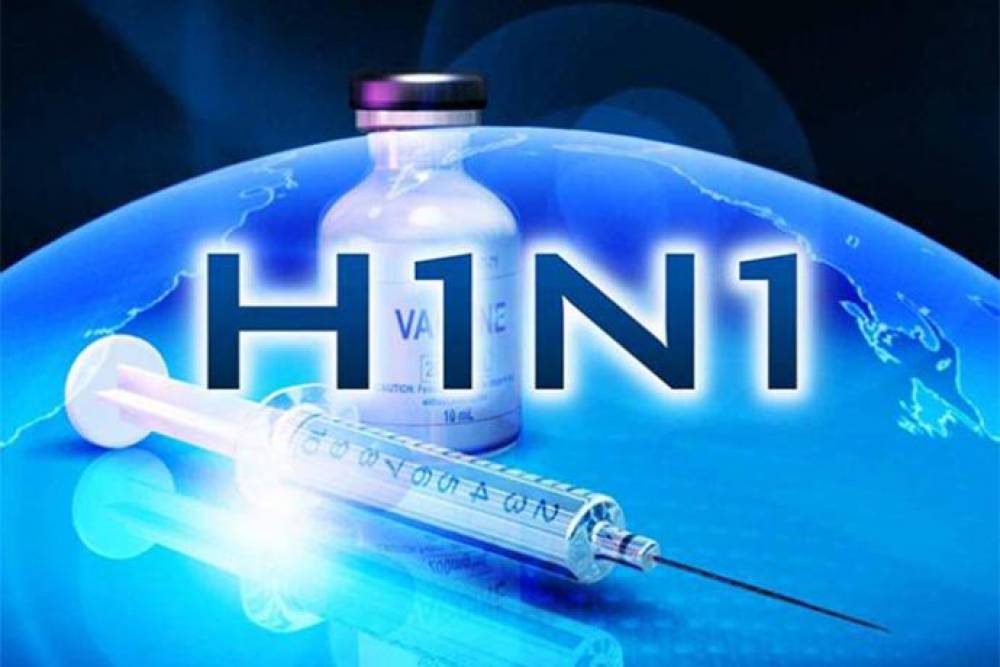 Վրաստանում հաստատվել է, որ N1H1 վիրուսից 17 մարդ է մահացել
