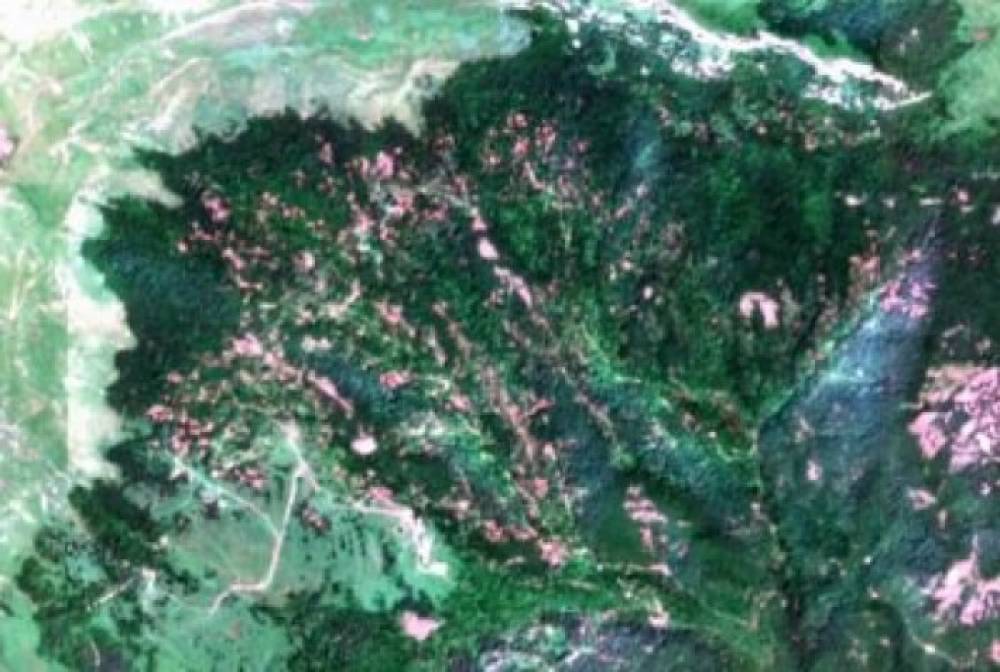 «Իջեւանյան անտառագողություն». հատումների ծավալները՝ տիեզերքից (լուսանկարներ)