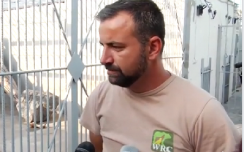 «Կենդանիները հյուծված են, թերաճ են». մասնագետները՝ Մանվել Գրիգորյանի կենդանաբանական այգում (տեսանյութ)