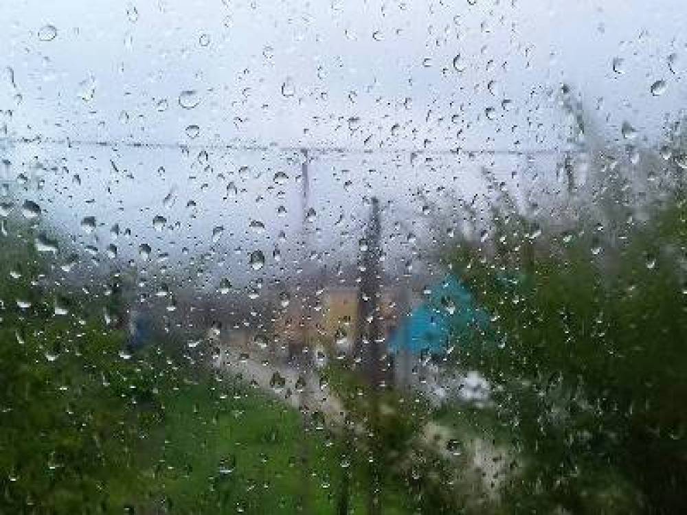 Այսօրվա անձրևը «Ոսկու շուկայում»  (տեսանյութ)