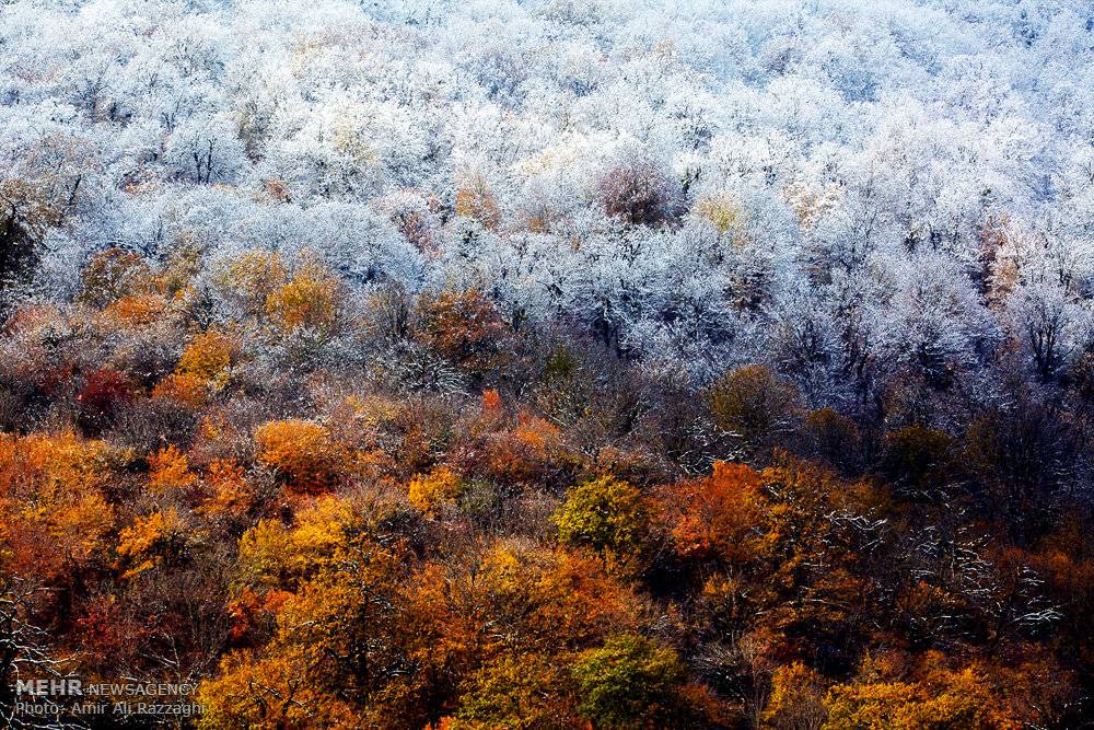 Նոյեմբերի 12-ին Հայաստանի մեծ մասում ձյուն կտեղա