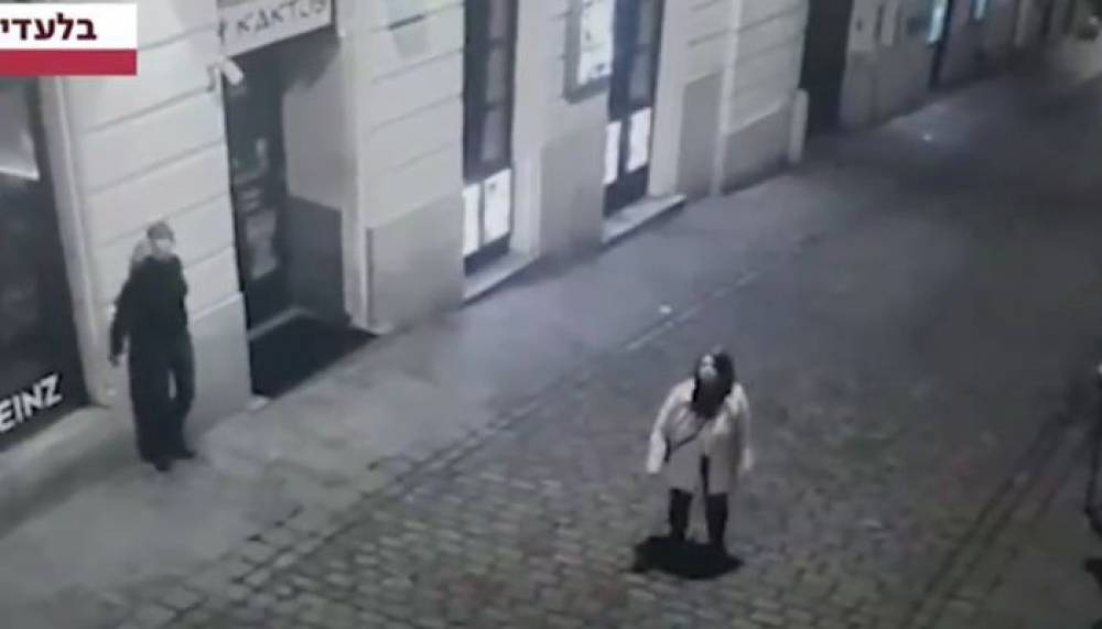 Հրապարակվել է տեսանյութ՝ ինչպես է Վիեննայում ահաբեկիչը կրակում անցորդի վրա. 18+