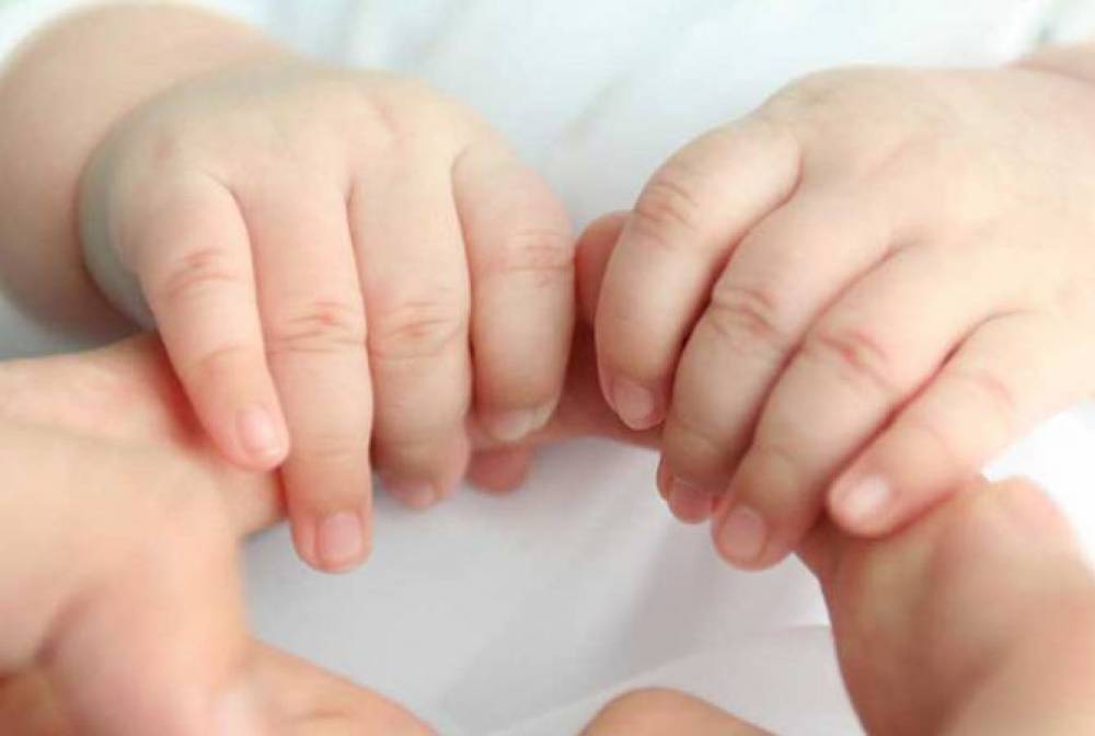 Գյումրիում հայտնաբերված նորածինների մայրը նոտարական վավերացմամբ հրաժարվել է փոքրիկների խնամքից