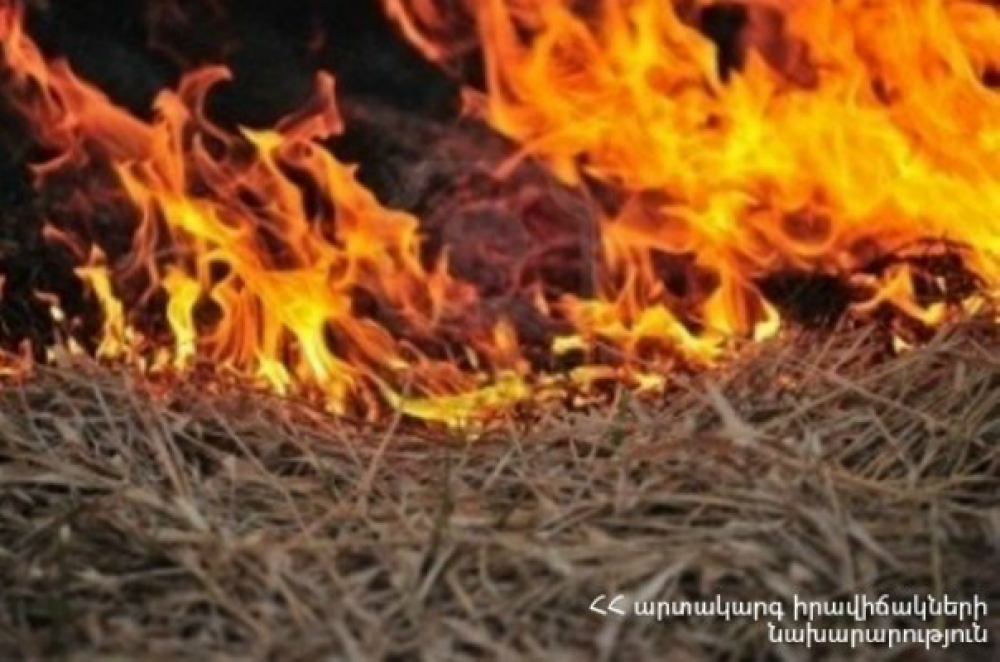 Արզականի անտառպետության մոտակայքում հրդեհ է բռնկել, այրվել է մոտ 20 հա բուսածածկույթ, որից շուրջ 1 հա անտառպետության տարածքից