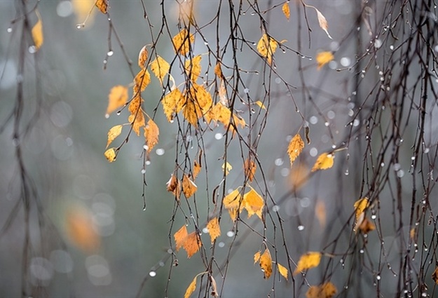 Ինչպիսի եղանակ է սպասվում առաջիկա օրերին