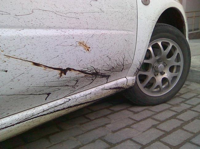 Ինչպես կարելի է ազատվել ավտոմեքենայի վրայի խազերից (տեսանյութ)