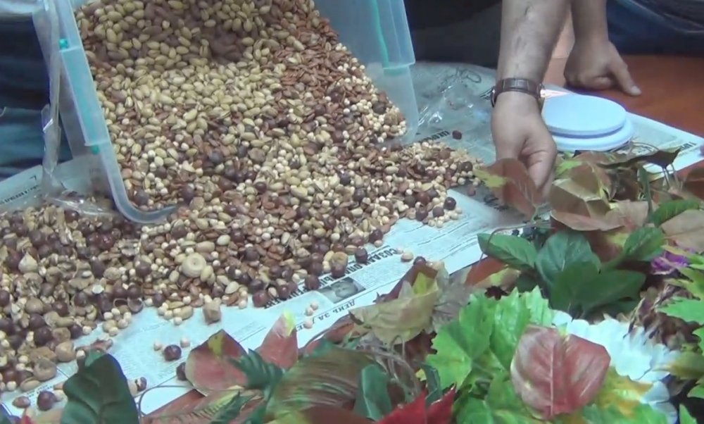 Ոստիկանությունը խոշոր չափերի հասնող թմրամիջոցի խմբաքանակ է հայտնաբերել