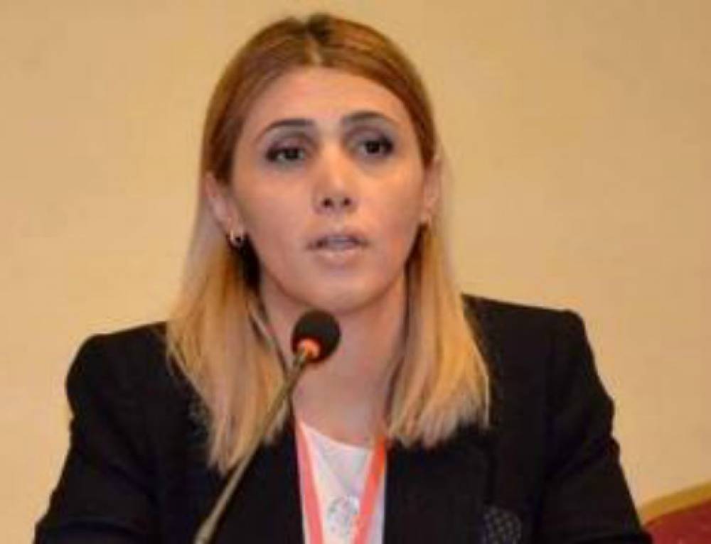 Պաշտպանել կասկածյալ Դ. Սանասարյանին