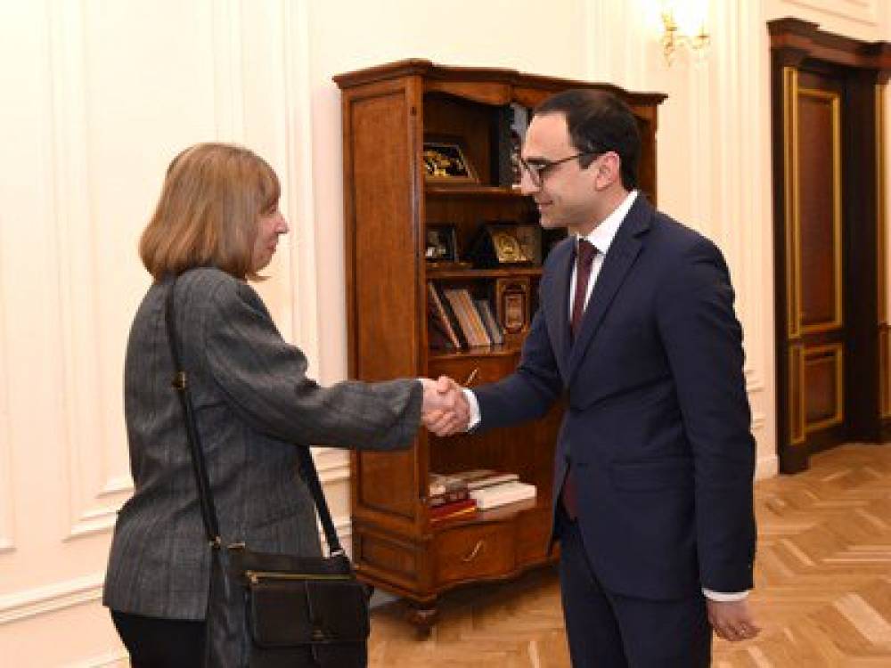 Տիգրան Ավինյանը ԱՄՆ դեսպանին է ներկայացրել «Աշխատիր Հայաստան» ծրագիրը