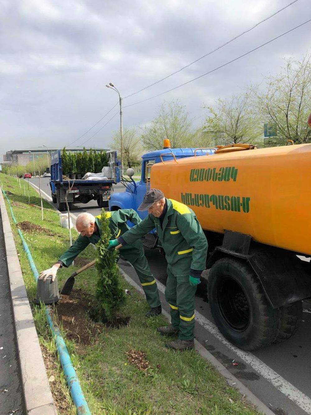 Աջափնյակում գողացել են երեկ տնկված տնկիները