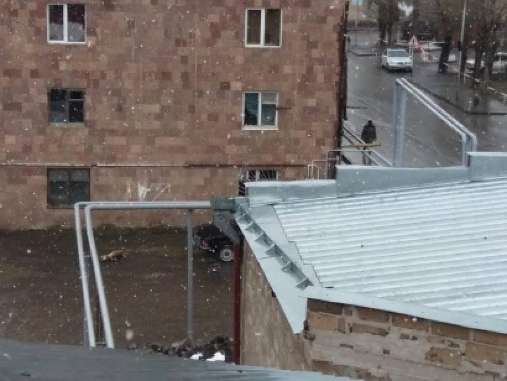Ճամբարակում օրը ցերեկով, մարդկանց, երեխաների ներկայությամբ շներ էիր կրակելով սատկացնում (լուսանկարներ)
