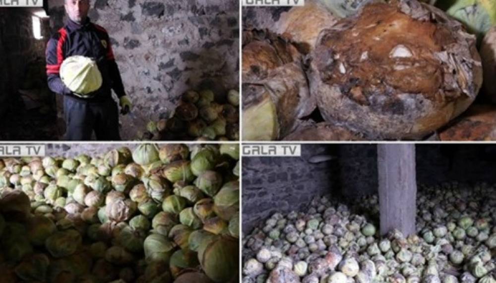 «Գյուղացուն 0%-ով վարկ տրամադրելն այնքան էլ արդյունավետ չէ». Գարո Եղնուկյան (տեսանյութ)