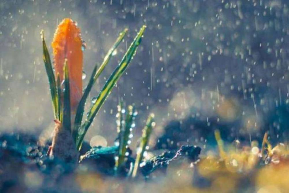 Սպասվում են տեղումներ. օդի ջերմաստիճանը կնվազի