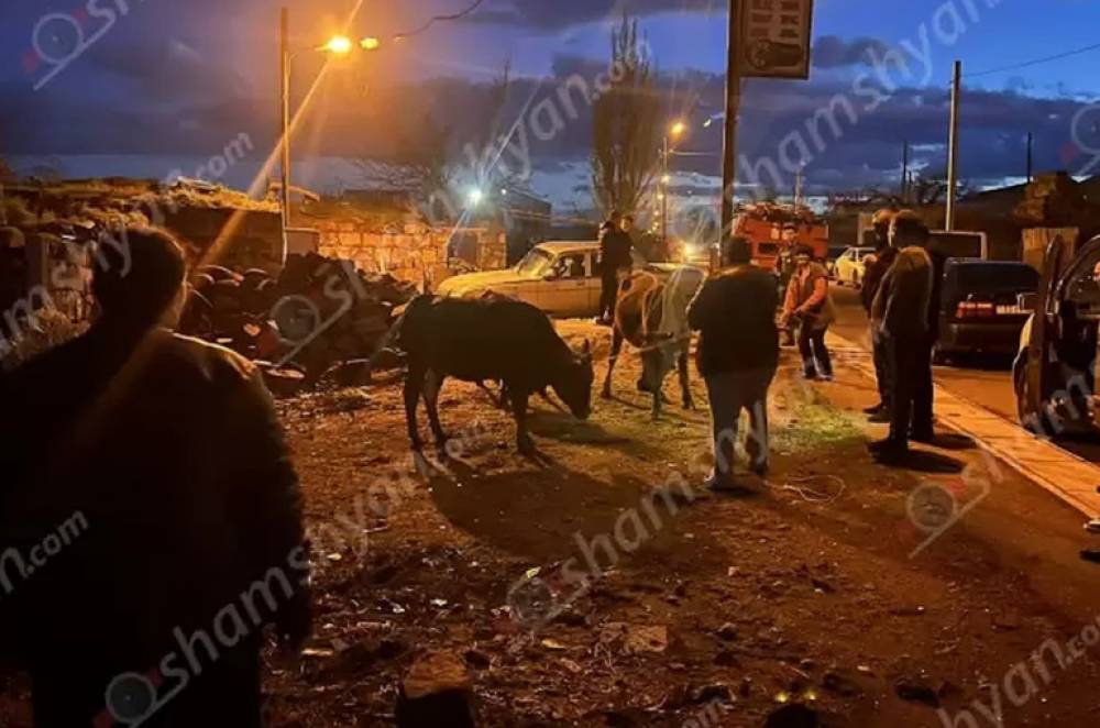 Քարակերտում փրկարարներն ու ոստիկանները անասնագոմի փլատակներից դուրս են բերել հորթերին և խոզին