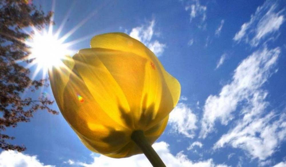 Ջերմաստիճանը երկու մարզում էականորեն կբարձրանա