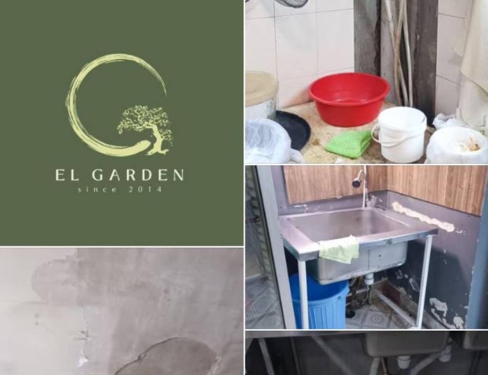 «Էլ Գարդեն»-ի արտադրական գործունեությունը կասեցվել է