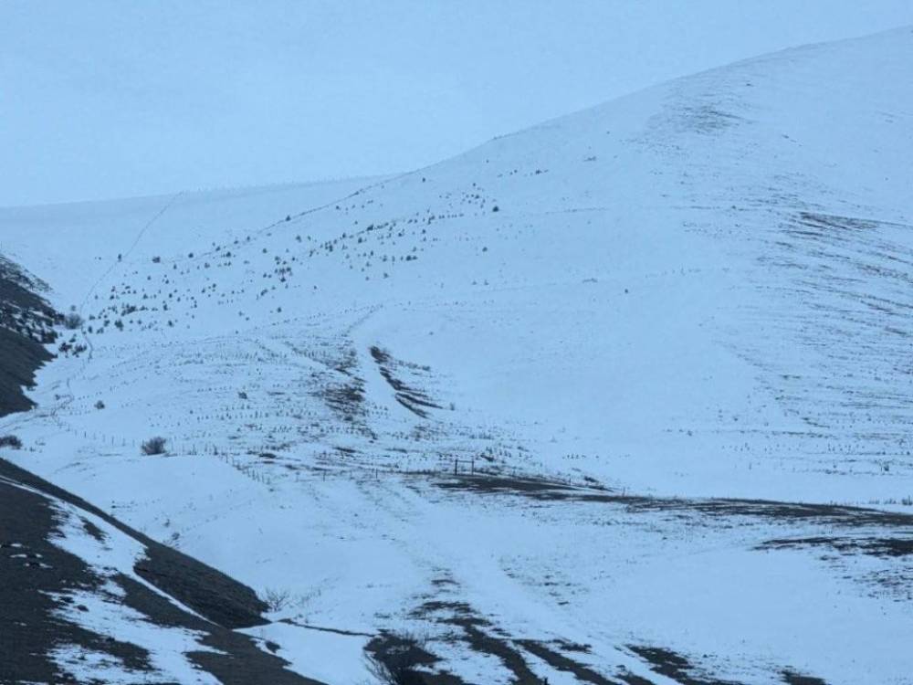 Հանրապետության մի շարք շրջաններում ձյուն է տեղում