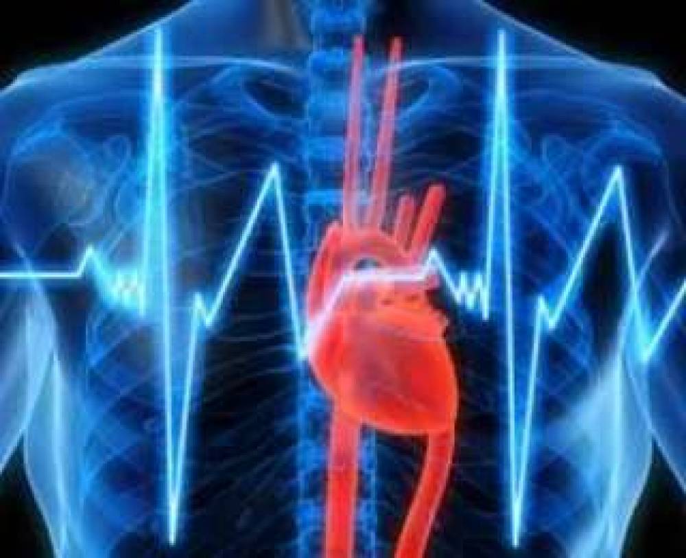 Ինչ է սրտի առիթմիան, ինչու է առաջնում և 1 րոպեյում քանի անգամ պետք է զարկի առողջ սիրտը