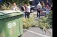 Ավինյանը շինթույլտվություն է տվել, ինչն իր հերթին դարձել է ծառահատման պատճառ. Քաղաքացիները փակել են Գայի պողոտան