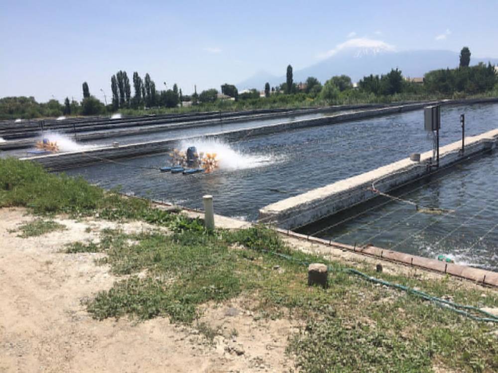 Մյուսները՝ հե՞չ. «Փաստ»