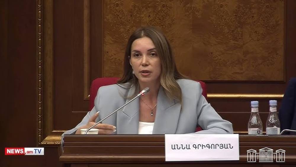 Երբեմն գալիս եք այստեղ՝ իբր մեսիականության ծիրին մեջ, բայց ընդամենը Ալիևի խամաճիկն եք. Գրիգորյանը՝ Փաշինյանին