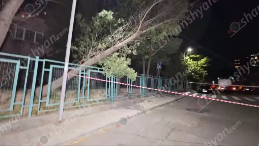 Դավթաշենի թիվ 60 մանկապարտեզի տարածքում արմատից չորացած ծառը կոտրվել է