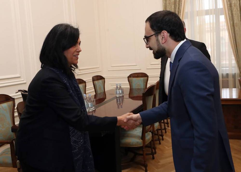 Փոխվարչապետի պաշտոնակատար Տիգրան Ավինյանն ընդունեց «Վեոլիա» ընկերության Կենտրոնական և Արևելյան Եվրոպայի երկրների փոխնախագահին