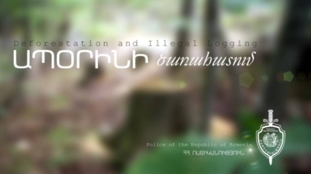 Բենզասղոցով հատել էր ծառեր. փայտանյութը տեղափոխել էր իր տուն
