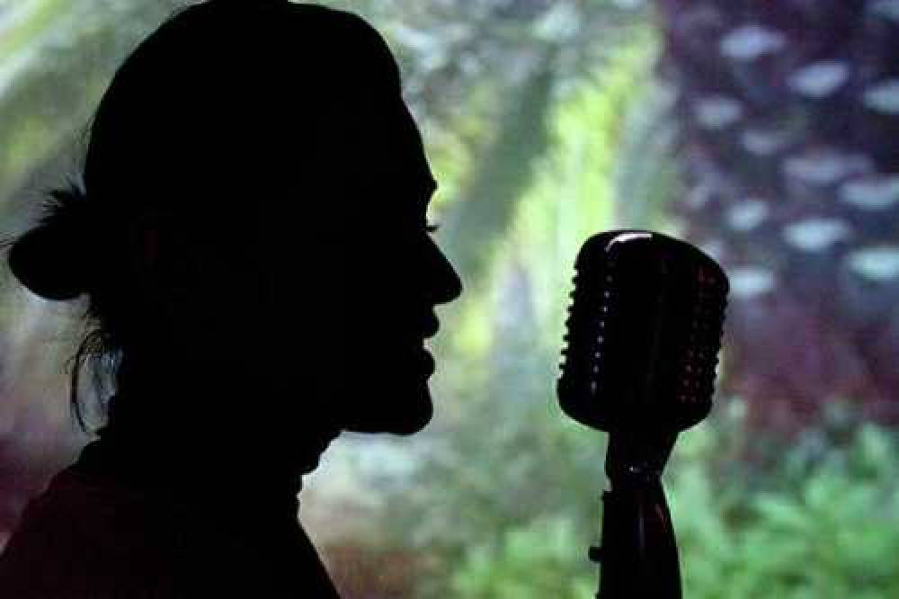 ՊԵԿ-ը շոու-բիզնեսի ներկայացուցիչներին  կրկին հորդորել է վճարել հարկերը