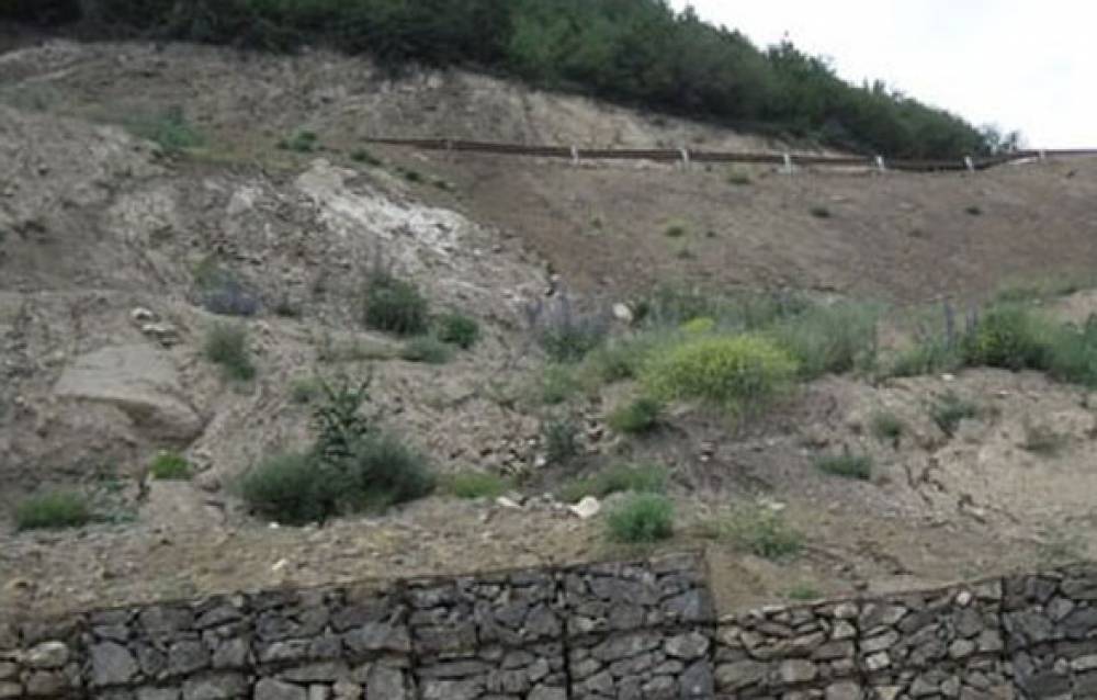 Տավուշի մարզին սահմանակից ադրբեջանական շրջանները Ադրբեջանի զինված ուժերի փոխարեն կհսկեն սահմանապահները