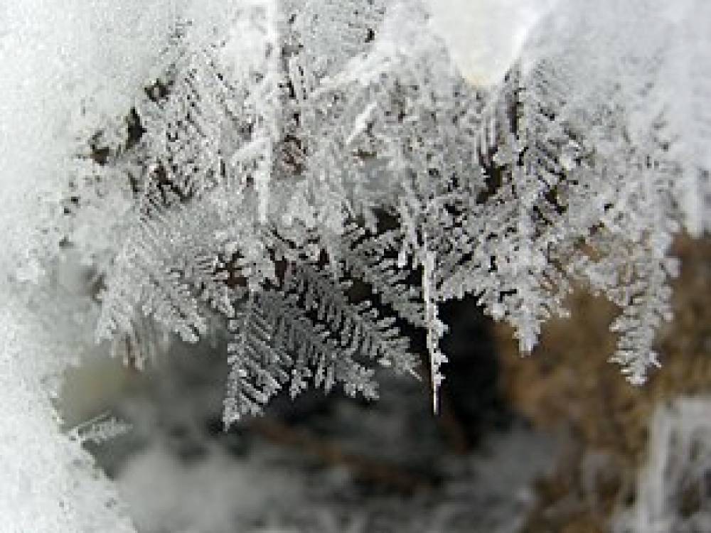 Արարատում, Լոռիում, Աշոցքի տարածաշրջանում, Հրազդան, Ծաղկաձոր և Չարենցավան քաղաքներում ձյուն է տեղում