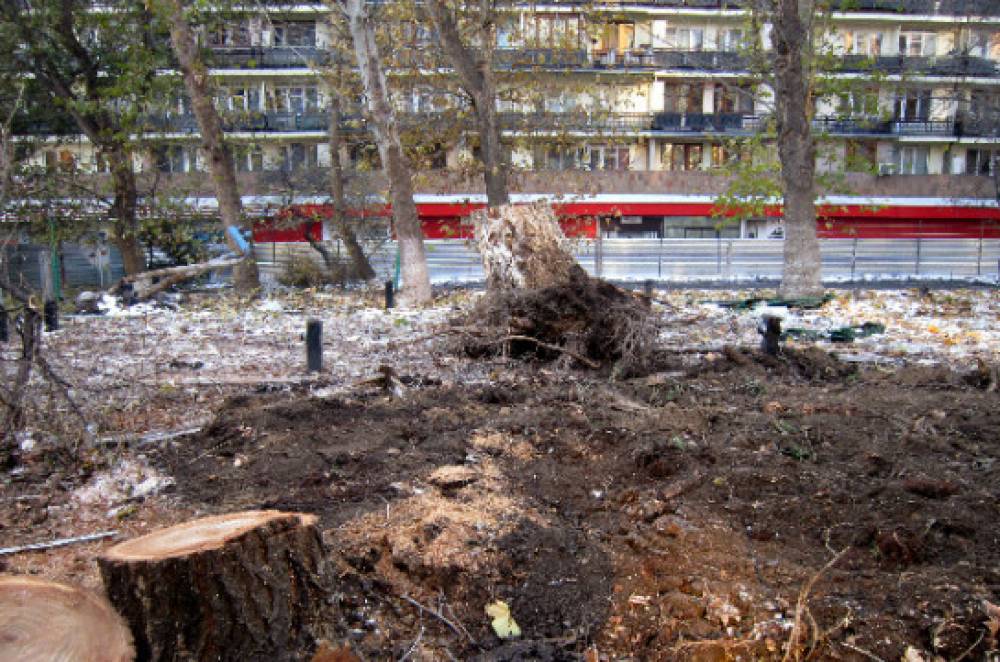 «Երևանում քայլելիս խորհուրդ է տրվում կրել դիմակ ու հակագազ»․ Հենրիխ Դանիելյանը՝ մայրաքաղաքում մթնոլորտային օդի որակի մասին