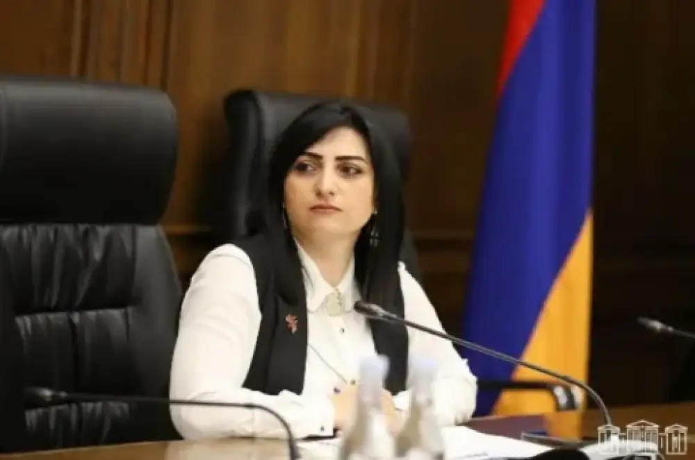 Հովիկ Աղազարյանի մասով գրություններ եմ ուղարկել իմ միջազգային գործընկերներին և կազմակերպություններին