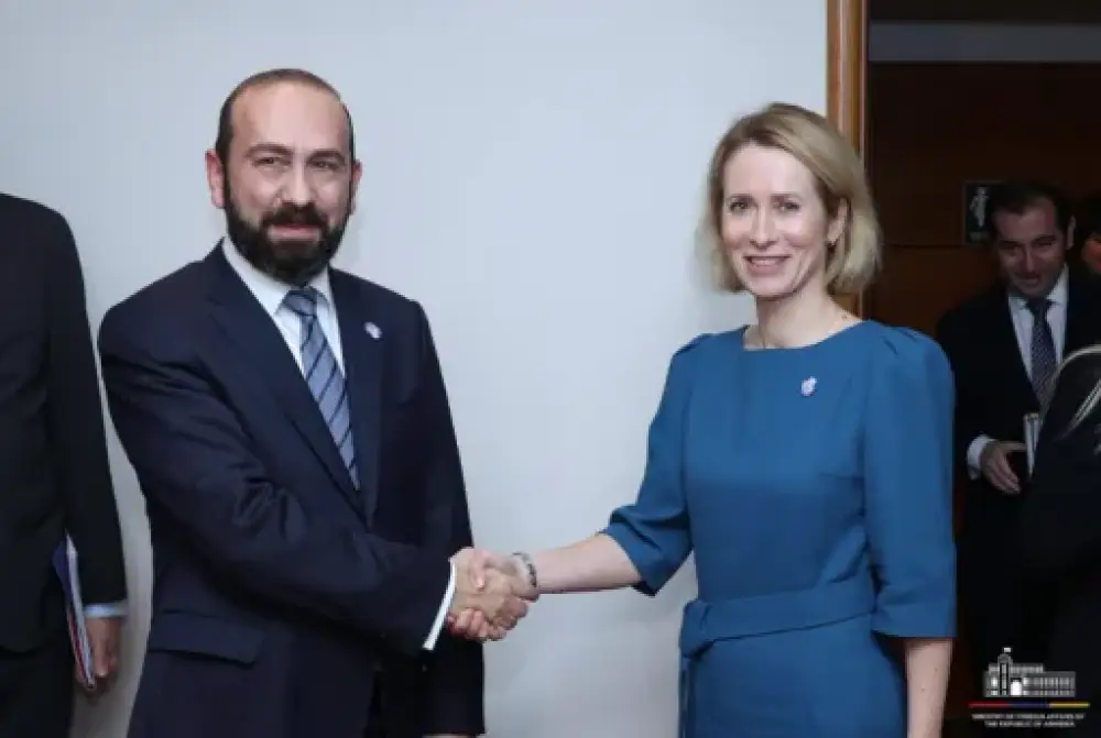Միրզոյանը Կալասին ներկայացրել է Հարավային Կովկասում խաղաղության հաստատման ուղղությամբ ՀՀ ջանքերը