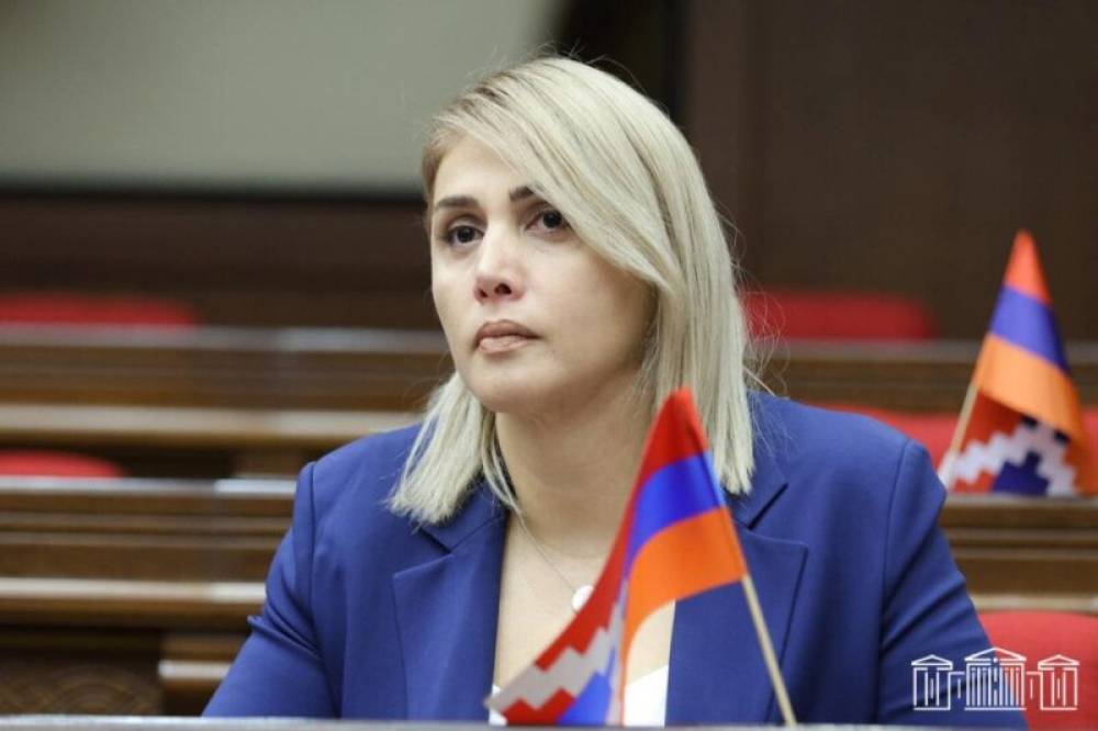 Ընդամենը պետք է օգտվել այսպիսի իշխանություն չունենալու իրավունքից․ Էլինար Վարդանյան