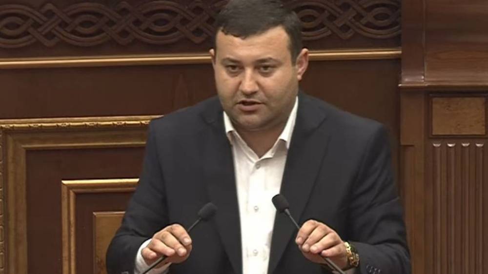 Երևանում շներն անցումով են անցնում, բայց գյուղերում շներն այդքան չեն զարգացել, որ անցումով անցնեն. ՔՊ պատգամավոր